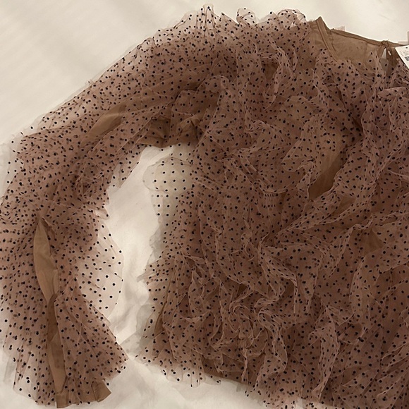 Anthropologie Dolan Left Coast Mesh Ruffle Top - Medium - Picture 6 of 12